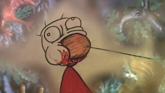 Wisdom Teeth Trailer