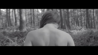 Wivine Trailer