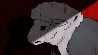 Wolf in sheep's clothing Trailer