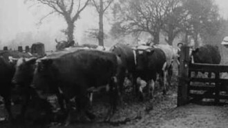 Women Farm Workers Trailer