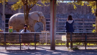 Women in the Zoo Trailer