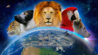 Wonderful World 3D Trailer