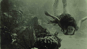 Wonders of the Sea Trailer