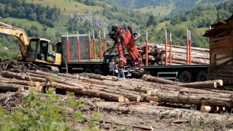 Wood Trailer