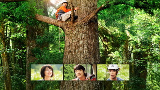 Wood Job! Trailer