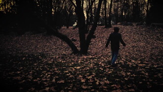 Woods Trailer