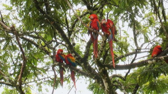 World Natural Heritage Costa Rica: Guanacaste National Park Trailer