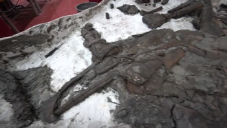 World's Best Dinosaur Fossil Trailer