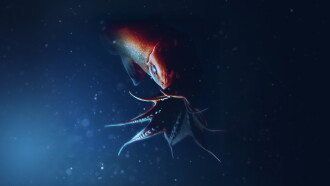 World's Weirdest: Extreme Body Parts Trailer