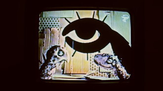 Worm Philosophers Trailer