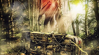 Wreck Trailer