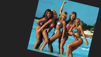 WWF Divas: Postcard From the Caribbean Trailer