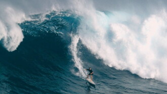 Yard. Big Wave Trailer