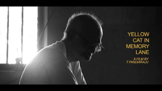 Yellow Cat in Memory Lane Trailer