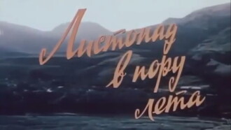 Yellow Leaves in Summer Trailer