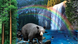 Yosemite: America's Treasure Trailer