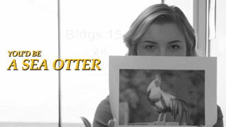You’d Be a Sea Otter Trailer