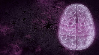 Your Brain Trailer