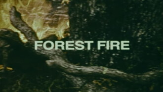 Your Chance to Live: Forest Fire Trailer
