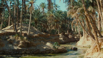 Zaa, the Little White Camel Trailer