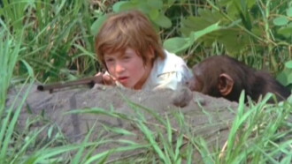 Zindy, the Swamp Boy Trailer