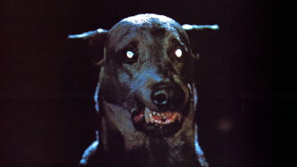 Zoltan… Hound of Dracula Trailer