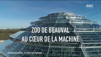 Zoo de Beauval : Au cœur de la machine Trailer