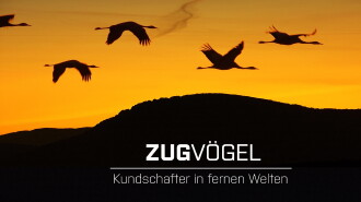 Zugvögel - Kundschafter in fernen Welten Trailer