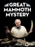 Great Mammoth Mystery