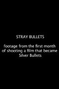 Stray Bullets