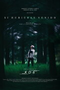 Si hubieras venido