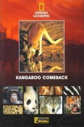 Kangaroo Comeback