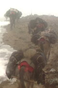 Men and Women in Gada Village