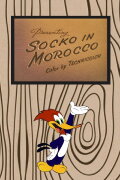 Socko in Morocco