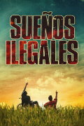 Illegal Dreams