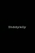 Diddyköy