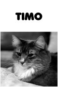 Timo
