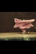 Serpentine Dance: Loïe Fuller