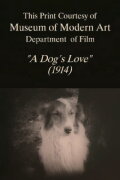A Dog's Love