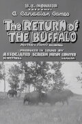 Return of the Buffalo