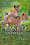 Animal Planet