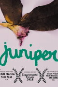 Juniper
