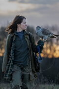 H Is for Hawk