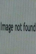 Image Not Found