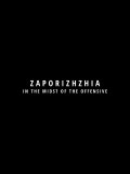 Zaporizhzhia in the Midst of the Offensive