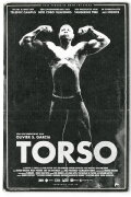 Torso