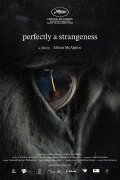 perfectly a strangeness