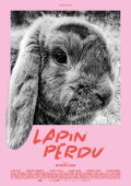 Lost Rabbit