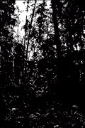 Earth Prayer - Khu.éex