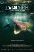 North Sea – Nature Untamed